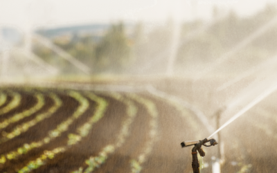 Irrigação: Conheça mais sobre o assunto e os tipos de irrigação